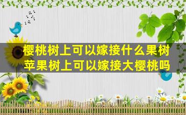 樱桃树上可以嫁接什么果树 苹果树上可以嫁接大樱桃吗